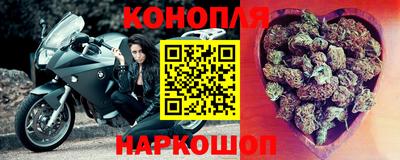 прущие грибы Тверь