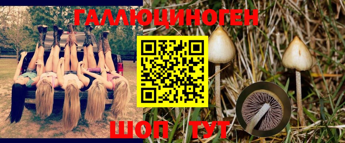 Галлюциногенные грибы ЛСД Орехово-Зуево