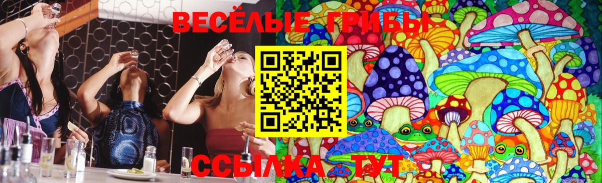 Галлюциногенные грибы мухоморы  Псилоцибиновые грибы MAGIC MUSHROOMS  Вход с VPN  купить наркотик  Орехово-Зуево 